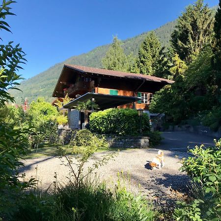 Chalet Rosemarie 링겐베르크 외부 사진