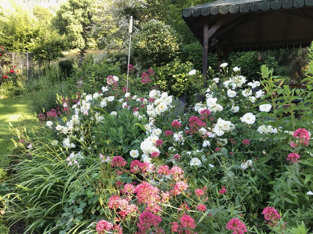 Chalet Rosemarie 링겐베르크 외부 사진