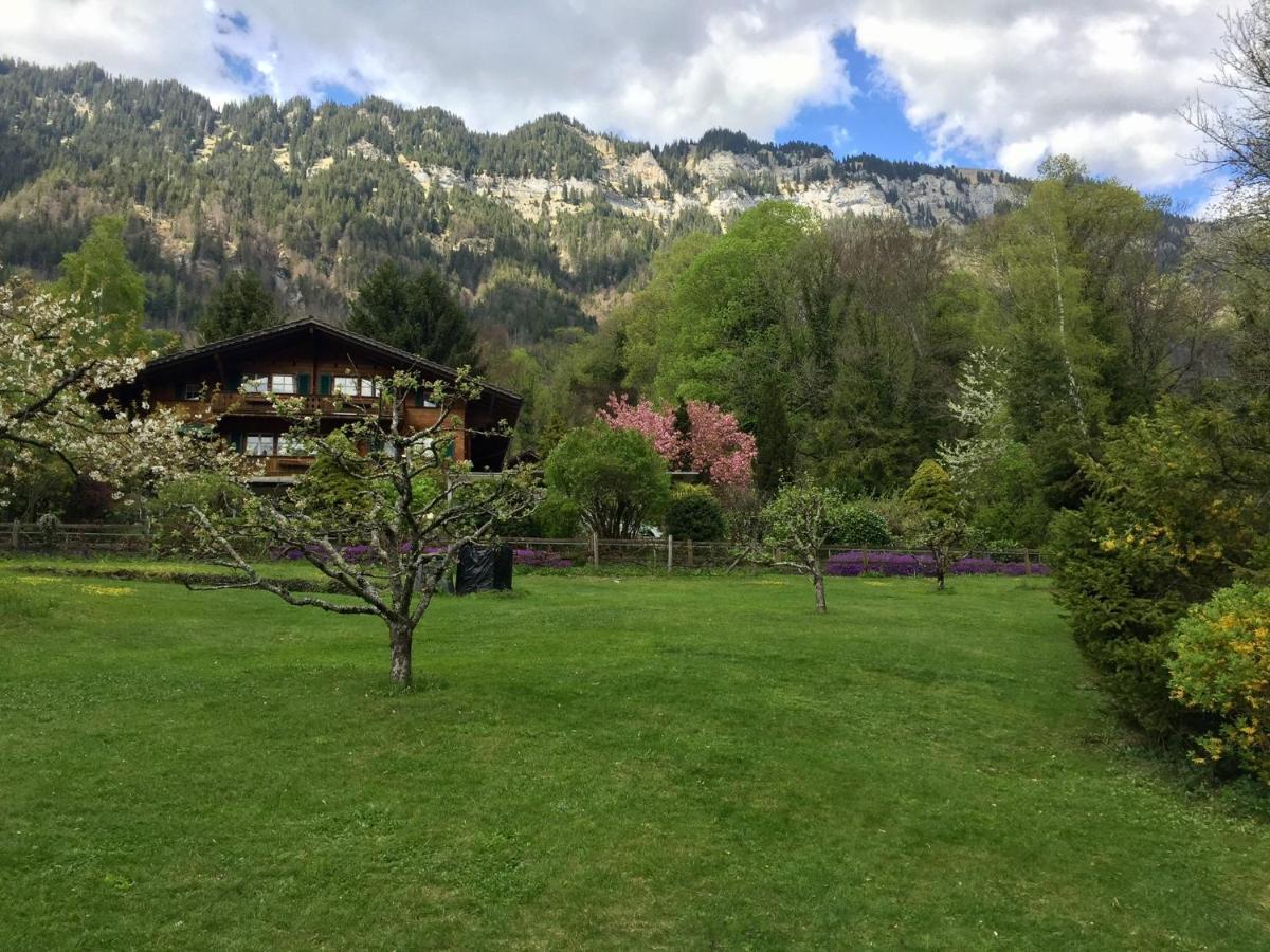 Chalet Rosemarie 링겐베르크 외부 사진