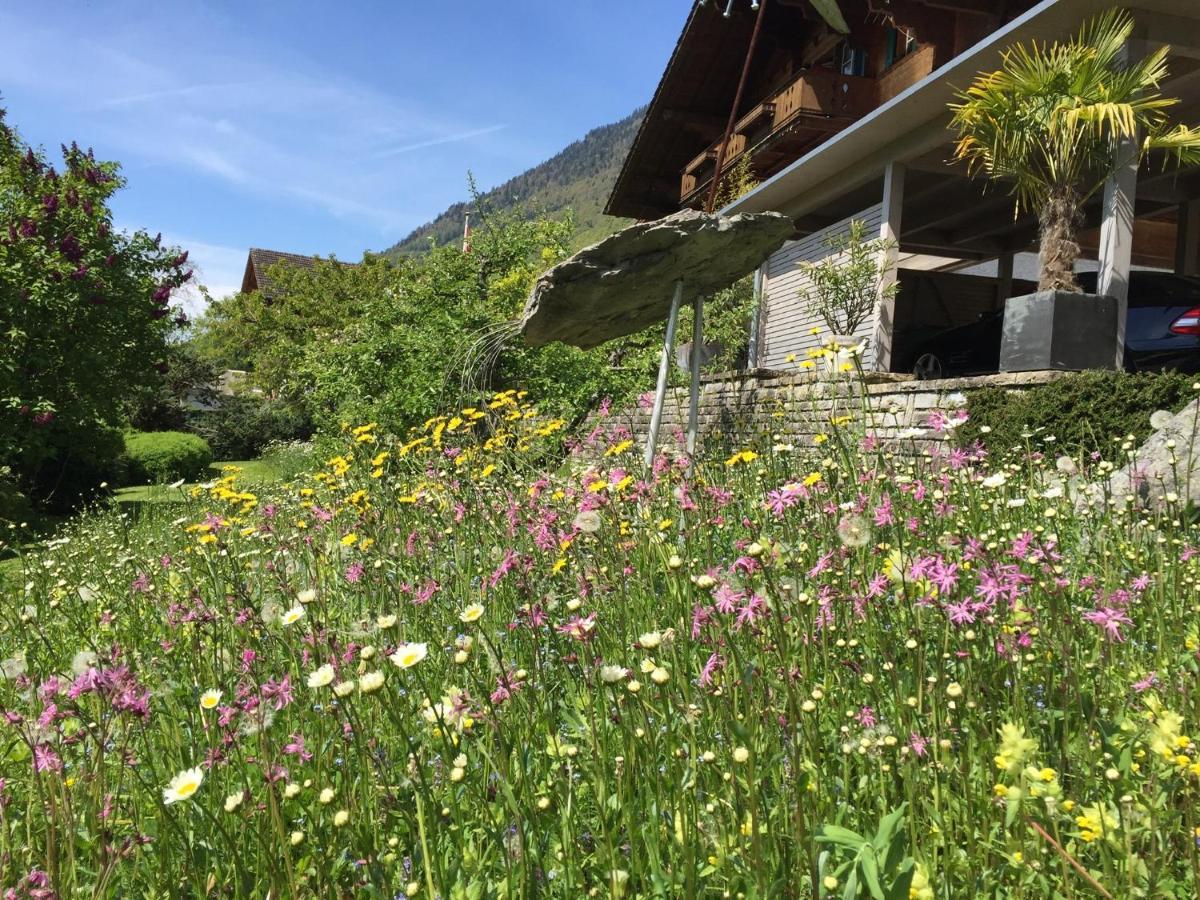 Chalet Rosemarie 링겐베르크 외부 사진