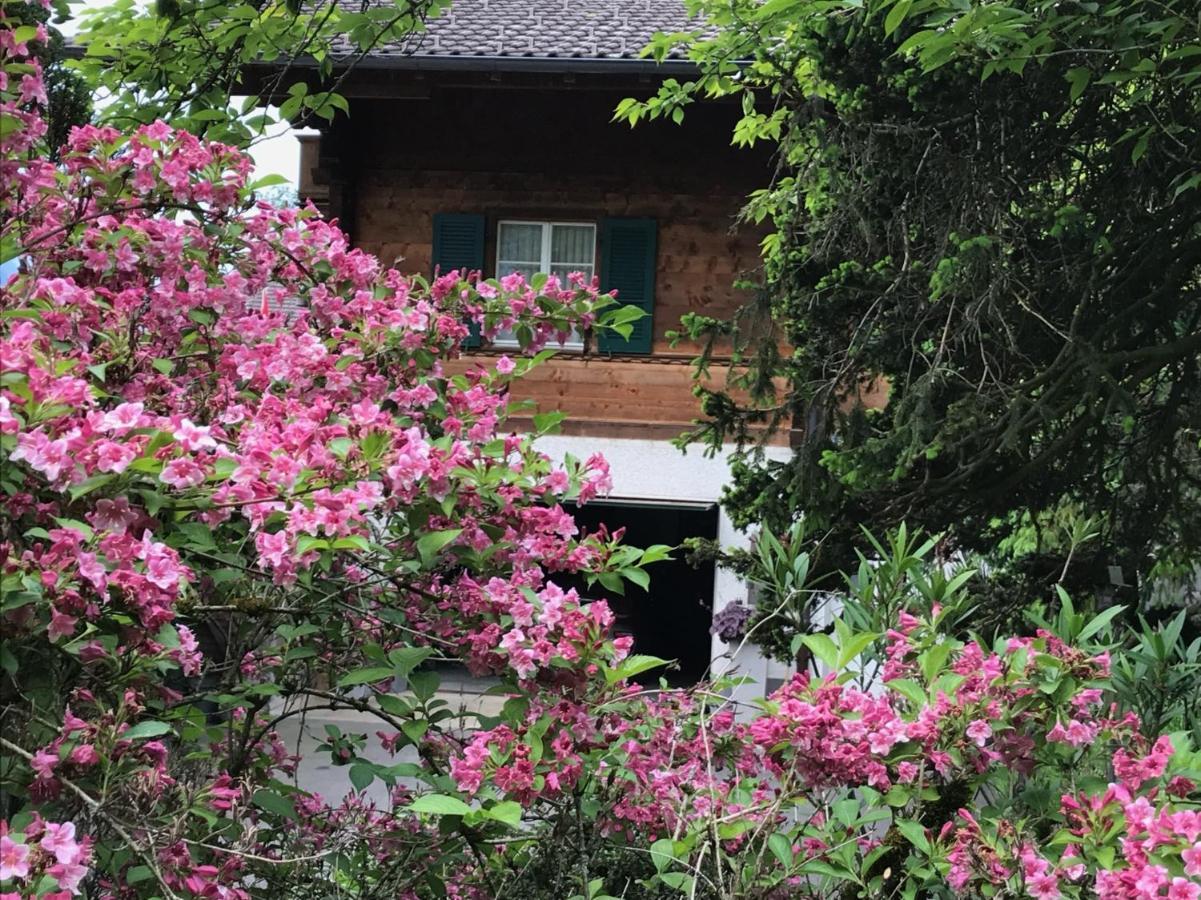 Chalet Rosemarie 링겐베르크 외부 사진