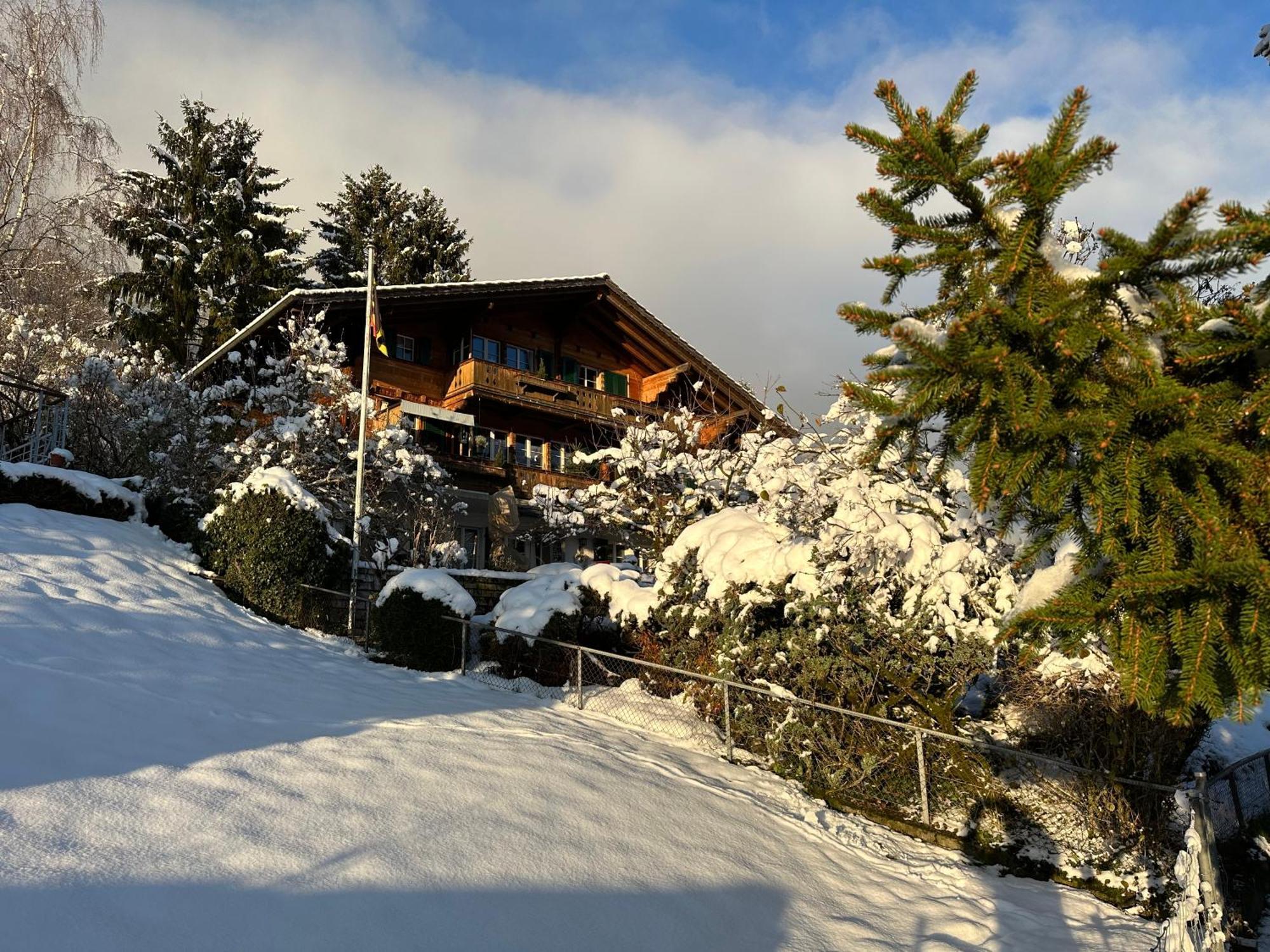 Chalet Rosemarie 링겐베르크 외부 사진